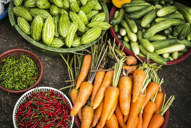 Plantations de printemps au potager avec semis, jeunes plants et massifs fleuris