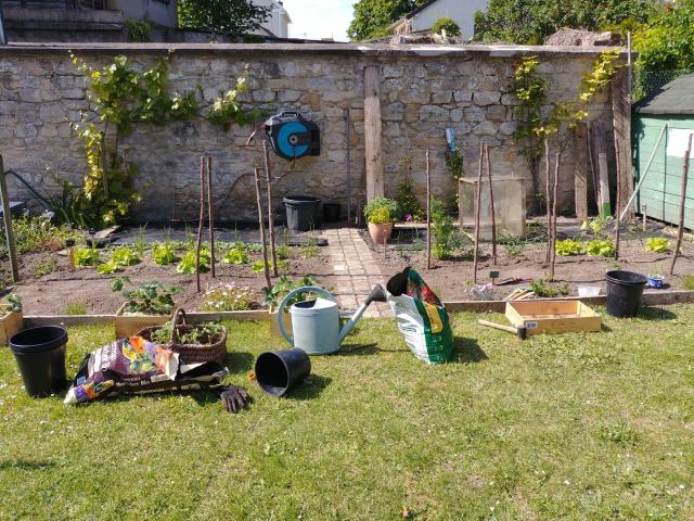 Potager d’été avec planches cultivées et jeunes plantations en juillet