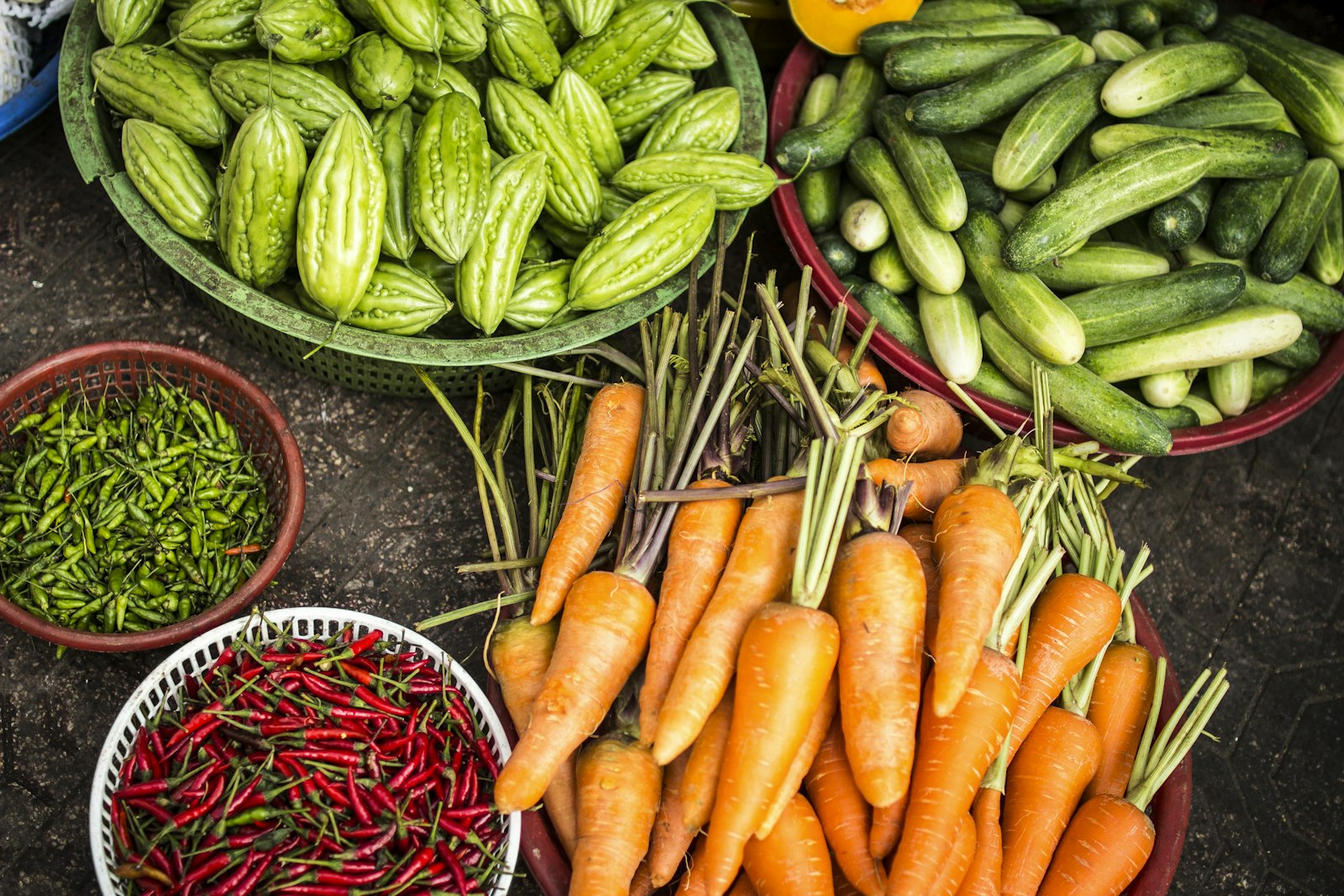 Jeunes plants de légumes et sachets de graines sur une table de rempotage