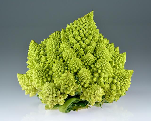 Chou romanesco (Brassica oleracea var. botrytis) : semis, culture et récolte
