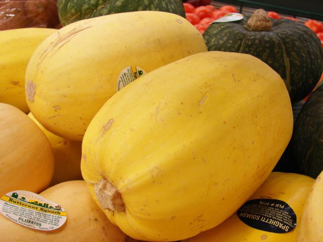 Courge spaghetti (Cucurbita pepo) : semis, culture et récolte