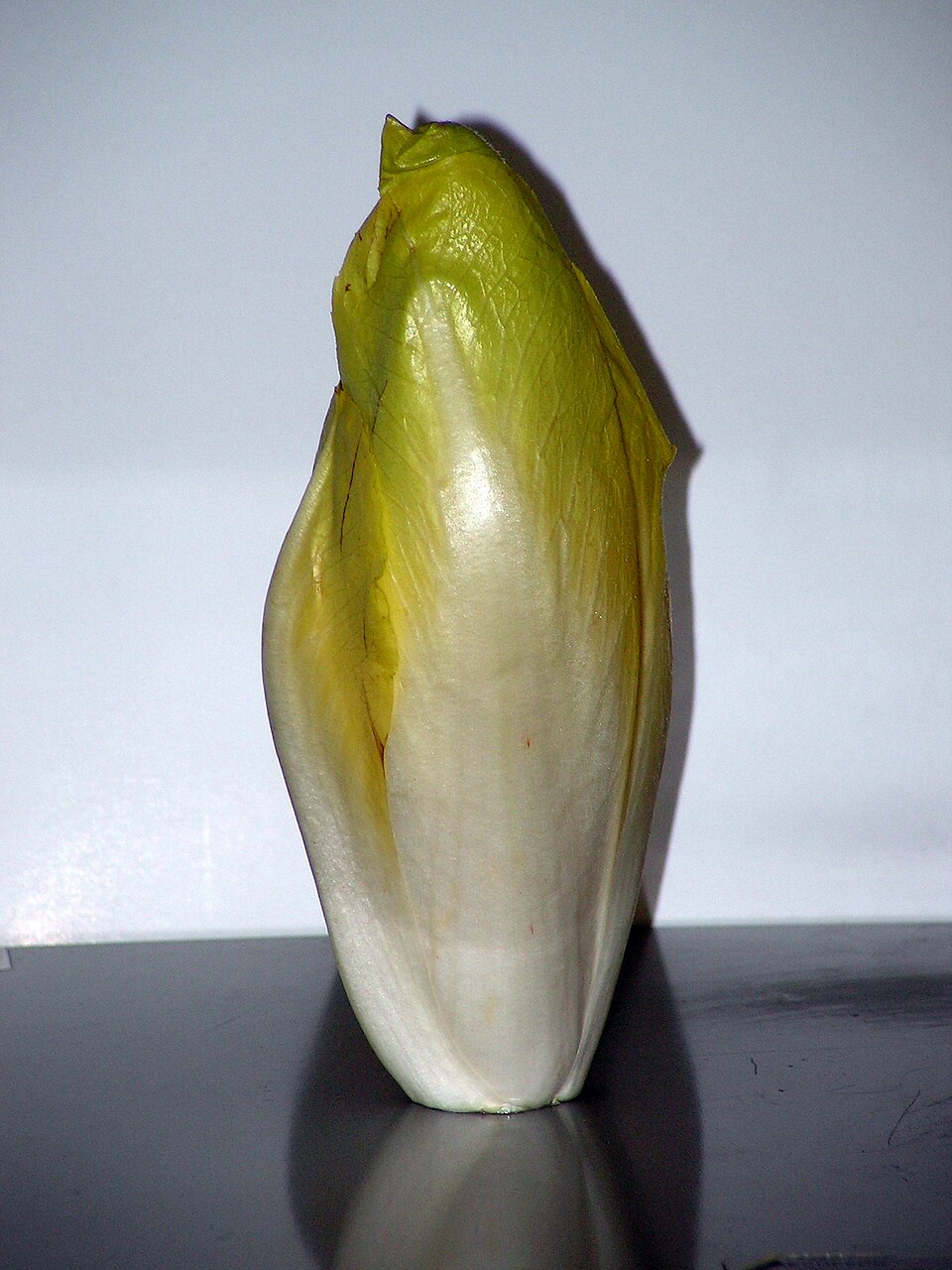 Endive