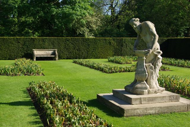 Jacinthe (Hyacinthus orientalis) : plantation, floraison et entretien